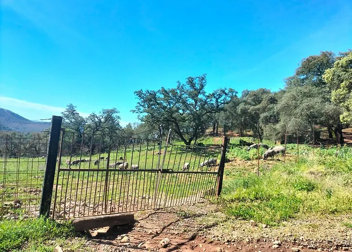 Casa Rural Alicia